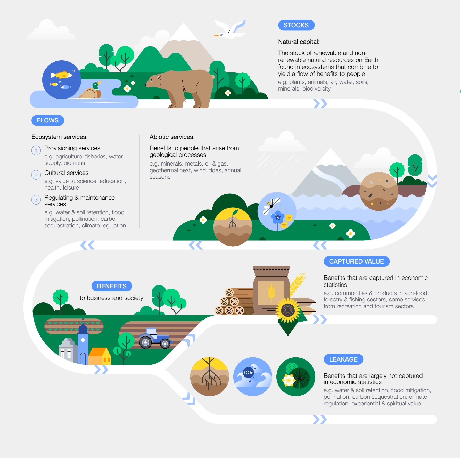 Natural capital: stocks, flows and benefits to business and society